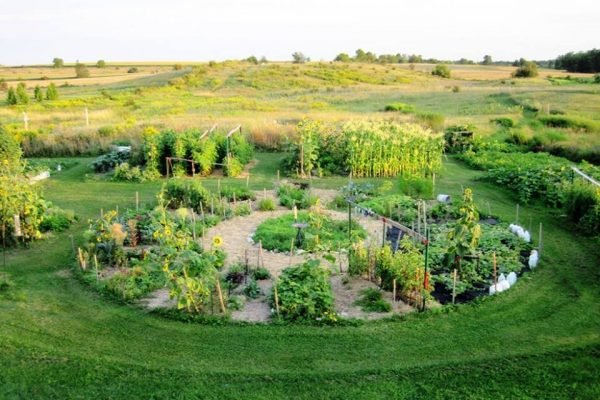 How EZ Flo Fertilizer Can Help You Grow An Organic Garden