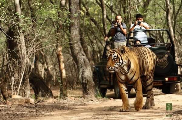 The best zones of Jim Corbett to visit in the months between October and November