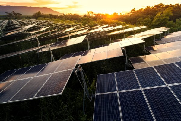All About The Amazing Rise In The Use Of Commercial Solar Power