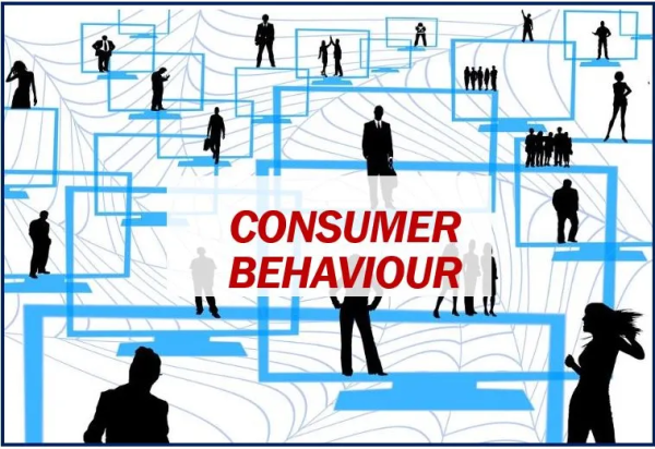 Consumer Behaviour Meaning & Importance